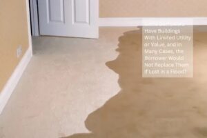 Some borrowers have buildings with limited utility or value, and in many cases, the borrower would not replace them if lost in a flood?