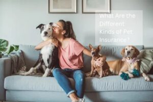 What are the different kinds of pet insurance?