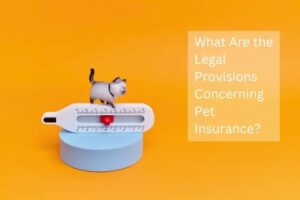 What Are the Legal Provisions Concerning Pet Insurance?